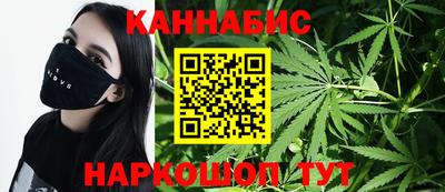 прущие грибы Будённовск