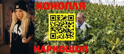 прущие грибы Будённовск