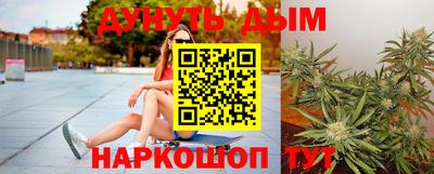 прущие грибы Будённовск