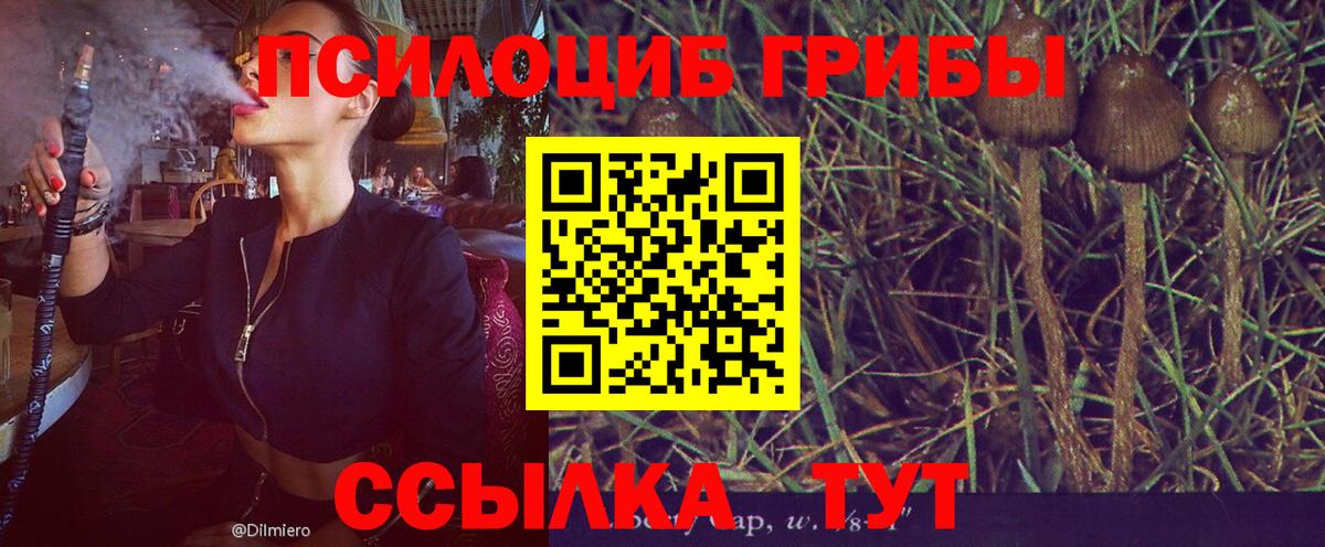 Кунгур  Галлюциногенные грибы Magic Shrooms  Псилоцибиновые грибы MAGIC MUSHROOMS  Вход с VPN 