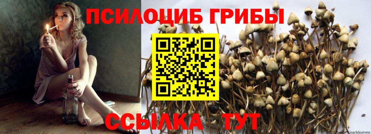 Галлюциногенные грибы GOLDEN TEACHER Кунгур